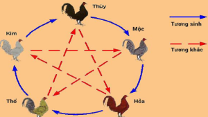 hôm nay đá gà màu nào mạnh